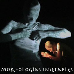 Morfologías inestables